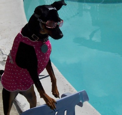 Poolside Poolside