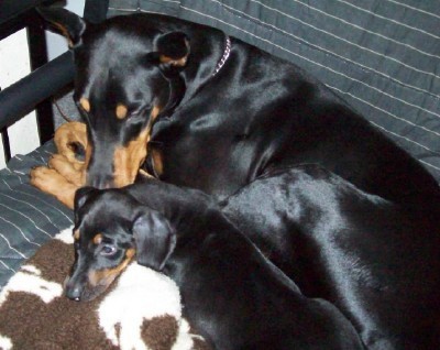 watchin' over little sis
